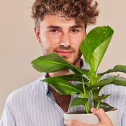 Ein Model hält eine Bananenpflanze (Musa Tropicana) fertig eingetopft mit Schweizer Bio Erde im HAY Designer Topf bei einem Produkt Shooting von Mary and Plants