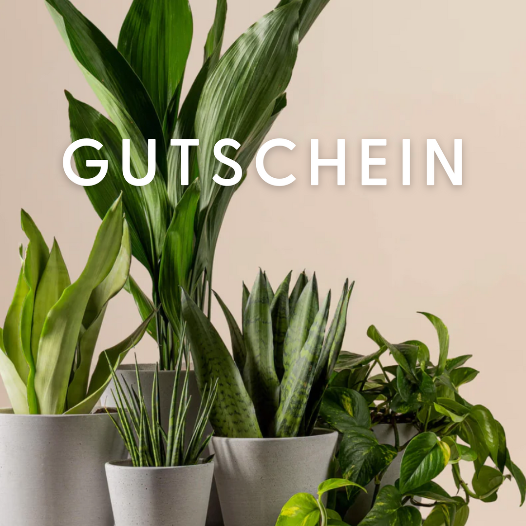 Digitaler Gutschein
